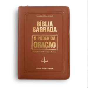 BÍBLIA SAGRADA - O PODER DA ORAÇÃO MARROM - GRAÇA EDITORIAL BIBLIA