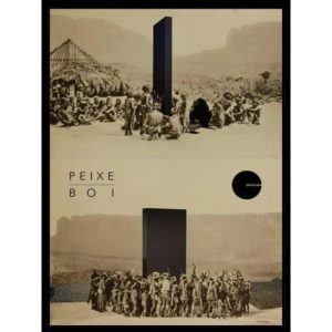 PEIXE-BOI - REVISTA DE PROSA E POESIA - EDICOES JABUTICABA