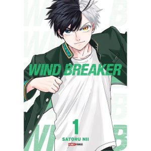 Wind breaker 01 - PANINI (CT)