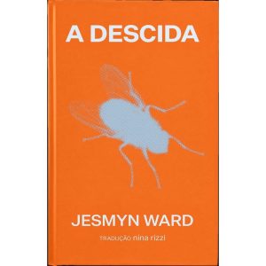 A DESCIDA: UM ROMANCE - CARAMBAIA