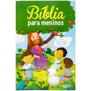 PALAVRAS DE VIDA: BÍBLIA PARA MENINOS - SBN