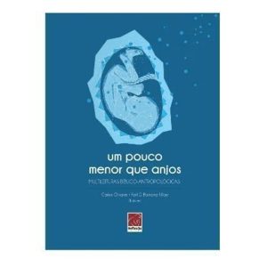 UM POUCO MENOR QUE OS ANJOS - EDITORA REFLEXAO BUSINESS