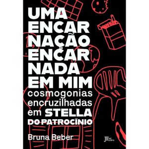 UMA ENCARNAÇÃO ENCARNADA EM MIM - JOSÉ OLYMPIO