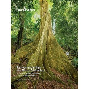 REMANESCENTES DA MATA ATLÂNTICA: AS GRANDES ÁRVORES DA FLORESTA ORIGINAL E SEUS VESTÍGIOS - OLHARES