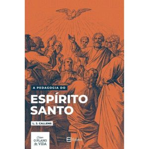A PEDAGOGIA DO ESPÍRITO SANTO - EDITORA ESTEIO