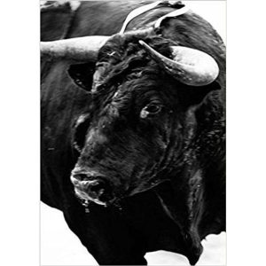 Sangre de reyes - RM VERLAG