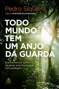 Todo mundo tem um anjo da guarda Ensinamentos sobre os seres espirituais que nos protegem