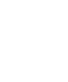 Option Shield
