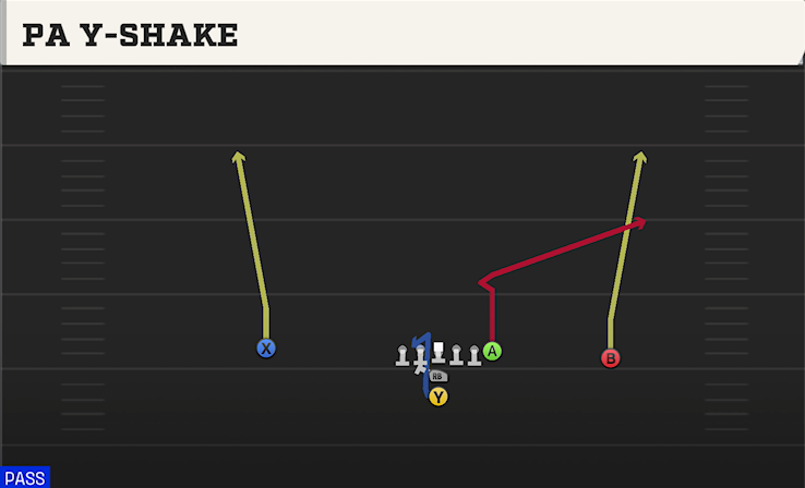 PA Y-SHAKE play diagram