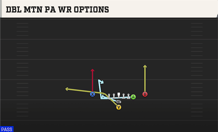 DBL MTN PA WR OPTIONS play diagram