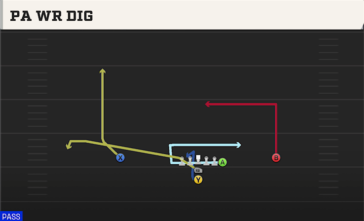 PA WR DIG play diagram