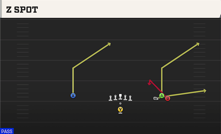 Z SPOT play diagram