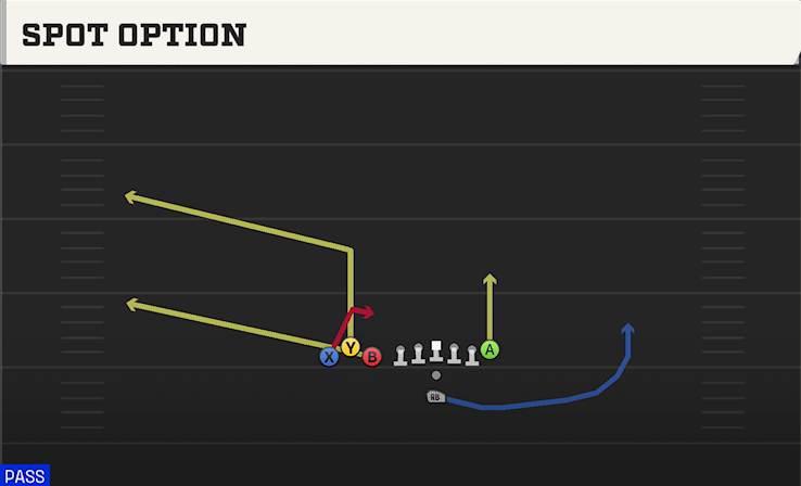 SPOT OPTION play diagram