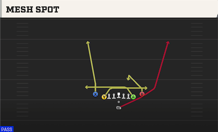 MESH SPOT play diagram
