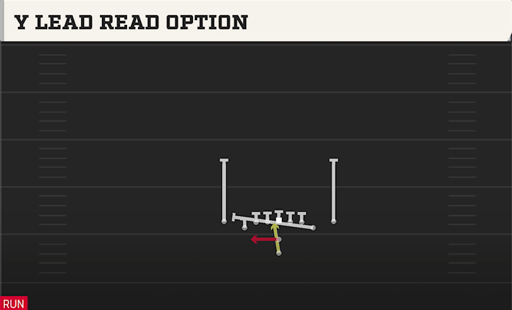 Y LEAD READ OPTION play diagram