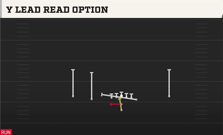 Y LEAD READ OPTION play diagram