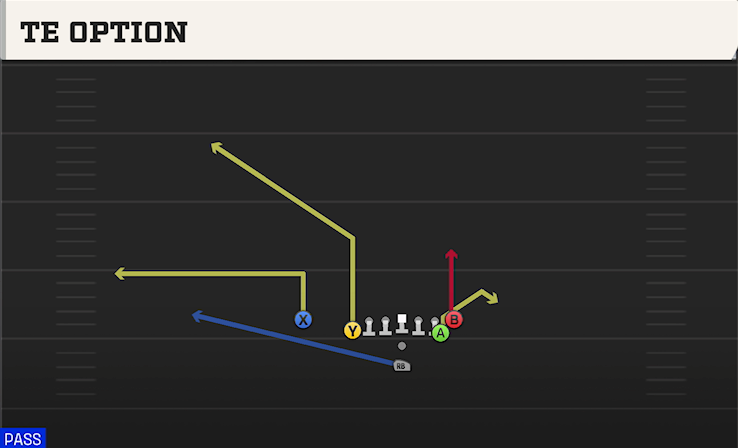 TE OPTION play diagram