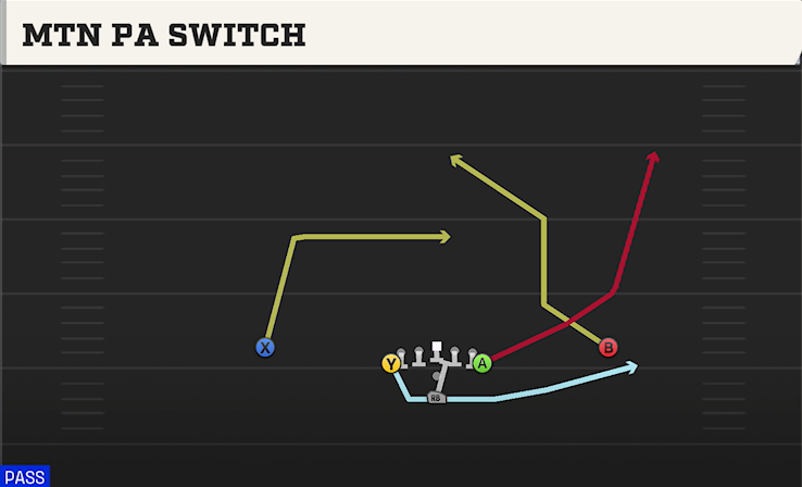 MTN PA SWITCH play diagram