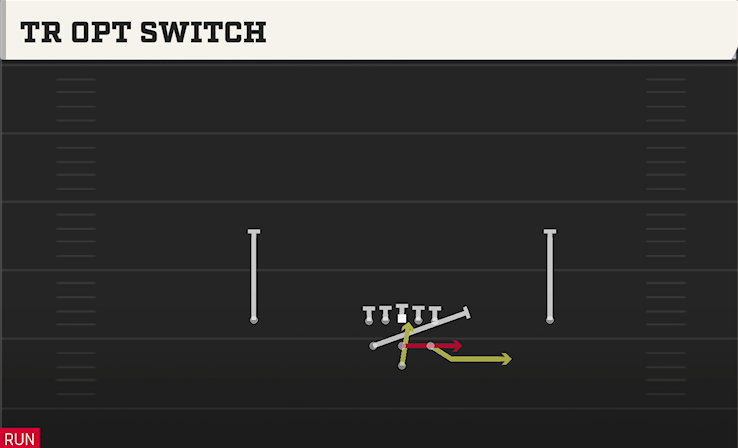 TR OPT SWITCH play diagram