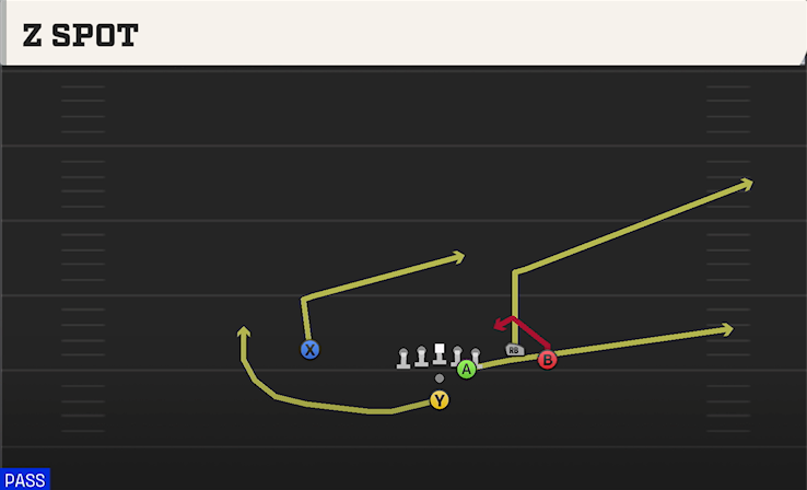 Z SPOT play diagram