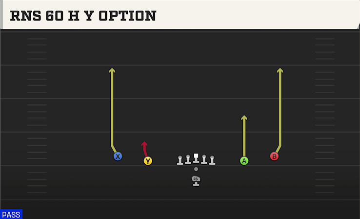 RNS 60 H Y OPTION play diagram