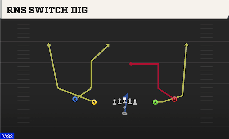 RNS SWITCH DIG play diagram
