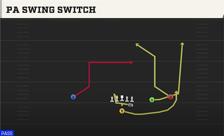 PA SWING SWITCH play diagram