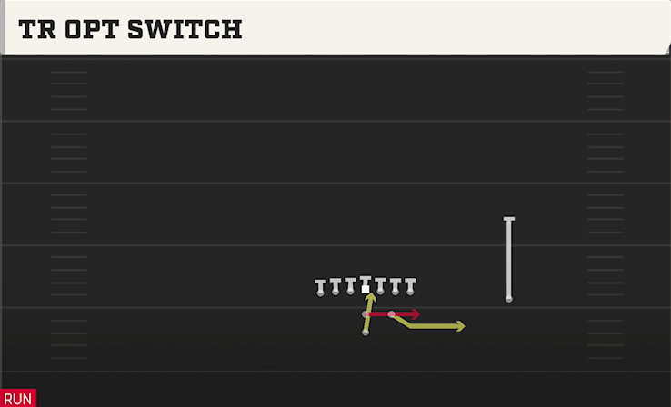 TR OPT SWITCH play diagram