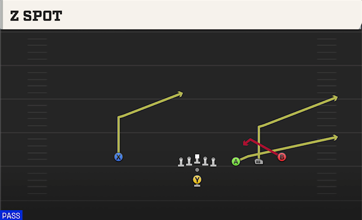 Z SPOT play diagram