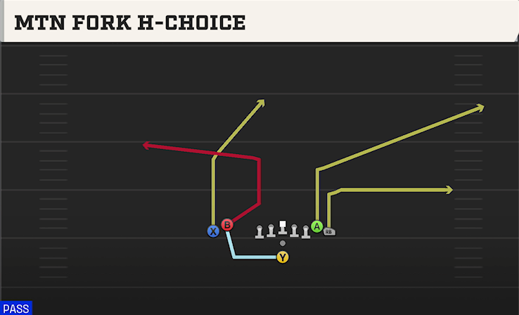 MTN FORK H-CHOICE play diagram