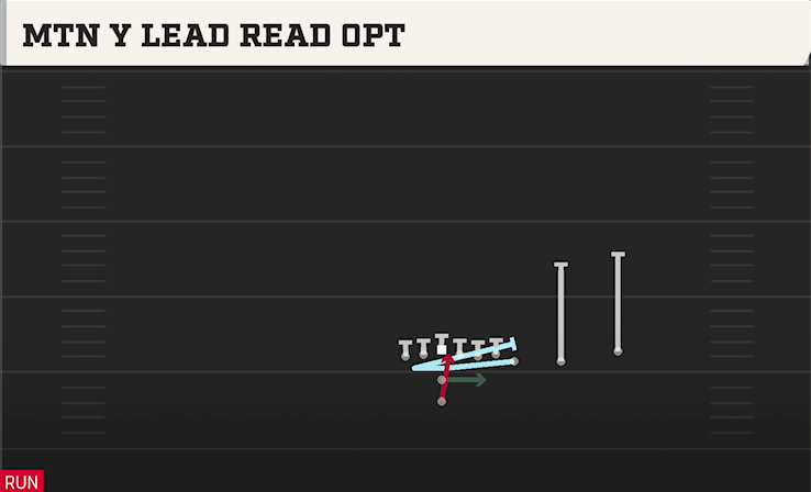 MTN Y LEAD READ OPT play diagram