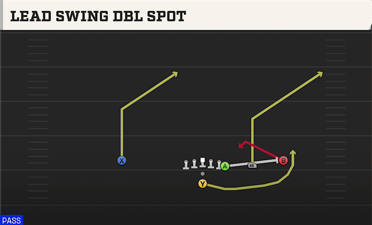 LEAD SWING DBL SPOT play diagram
