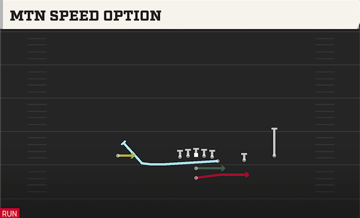 MTN SPEED OPTION play diagram