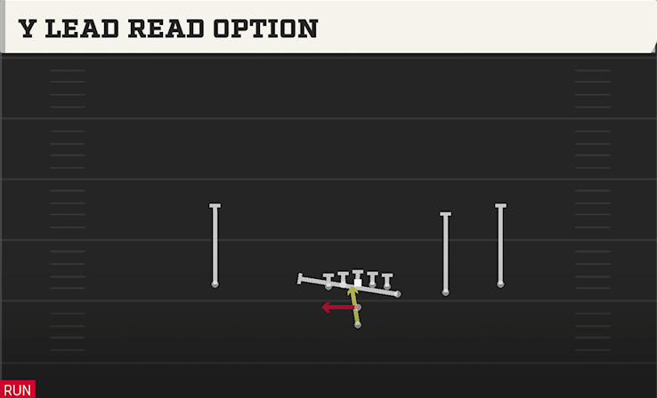 Y LEAD READ OPTION play diagram