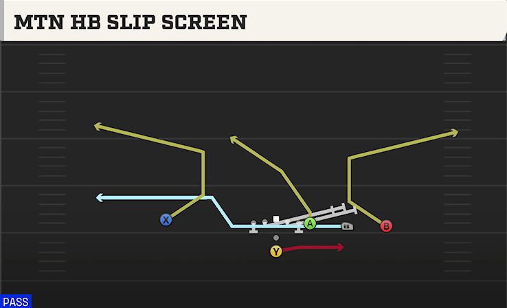 MTN HB SLIP SCREEN play diagram