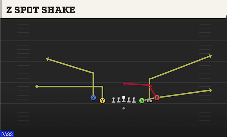 Z SPOT SHAKE play diagram
