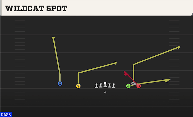 WILDCAT SPOT play diagram