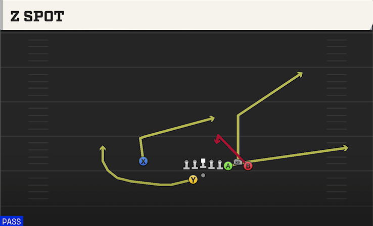 Z SPOT play diagram