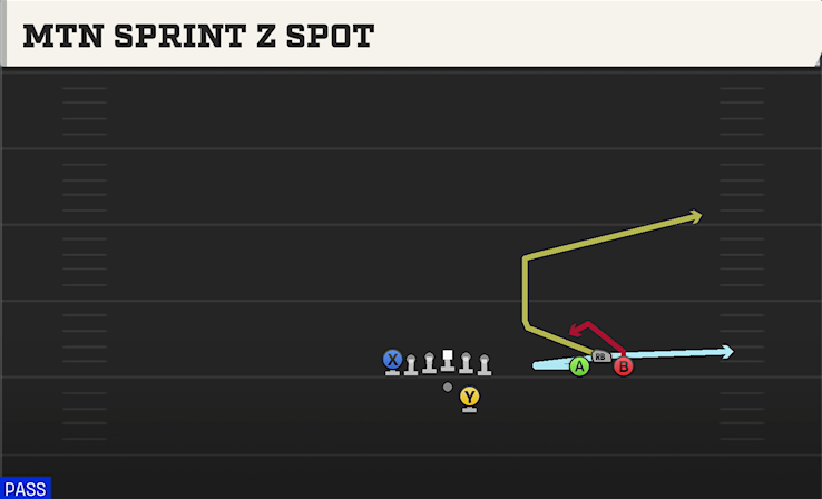 MTN SPRINT Z SPOT play diagram