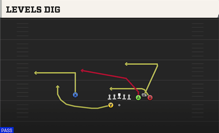 LEVELS DIG play diagram