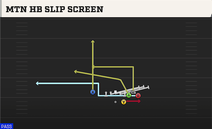 MTN HB SLIP SCREEN play diagram