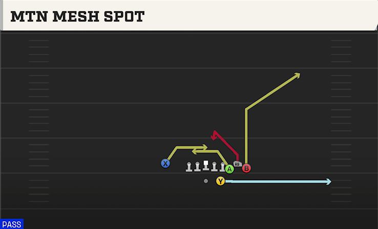 MTN MESH SPOT play diagram