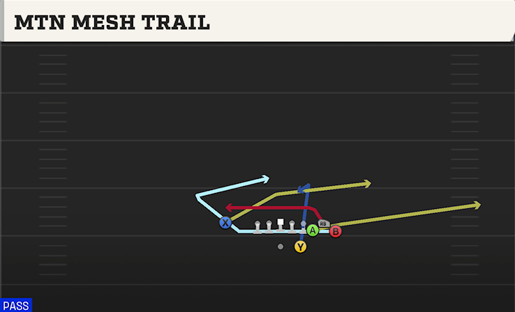 MTN MESH TRAIL play diagram