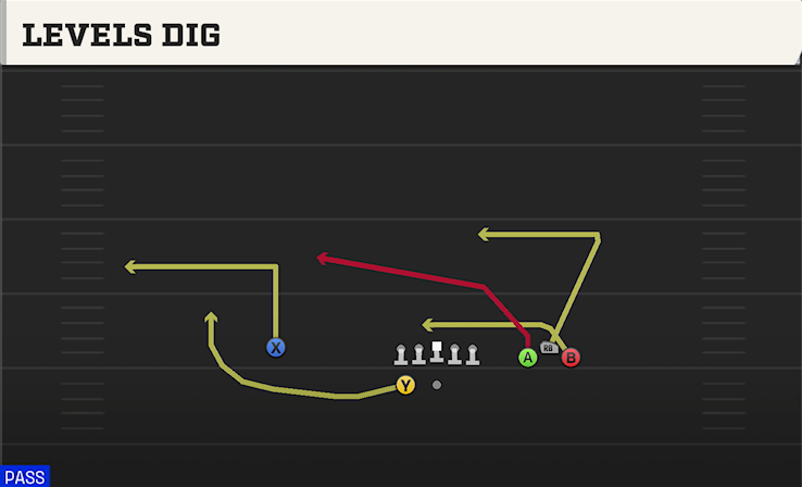 LEVELS DIG play diagram