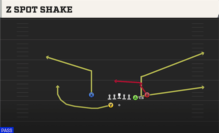 Z SPOT SHAKE play diagram