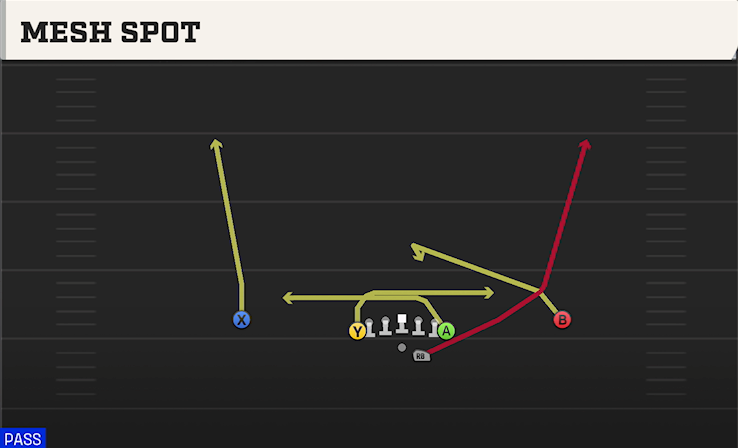 MESH SPOT play diagram