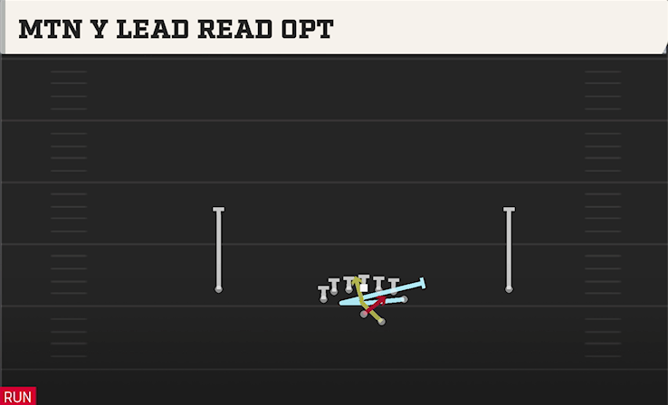 MTN Y LEAD READ OPT play diagram