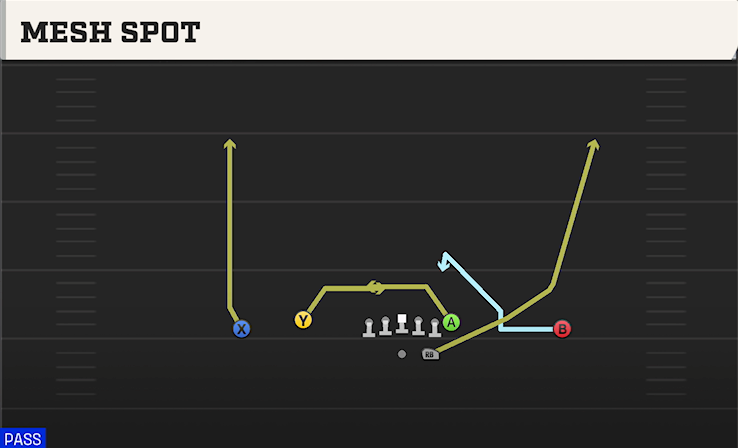 MESH SPOT play diagram