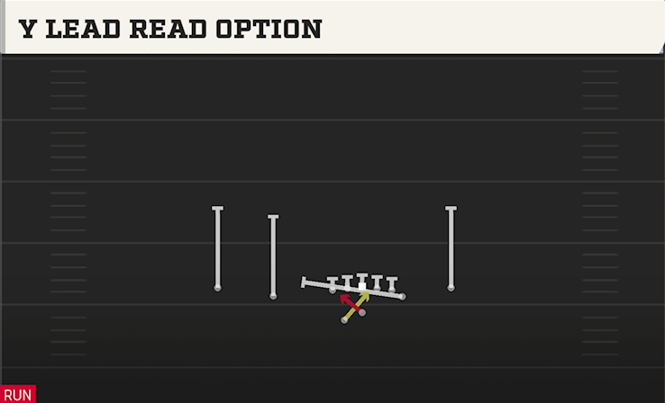 Y LEAD READ OPTION play diagram