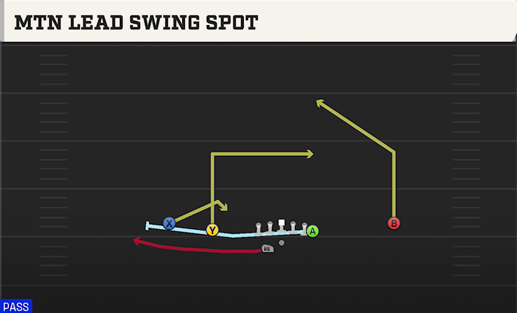 MTN LEAD SWING SPOT play diagram